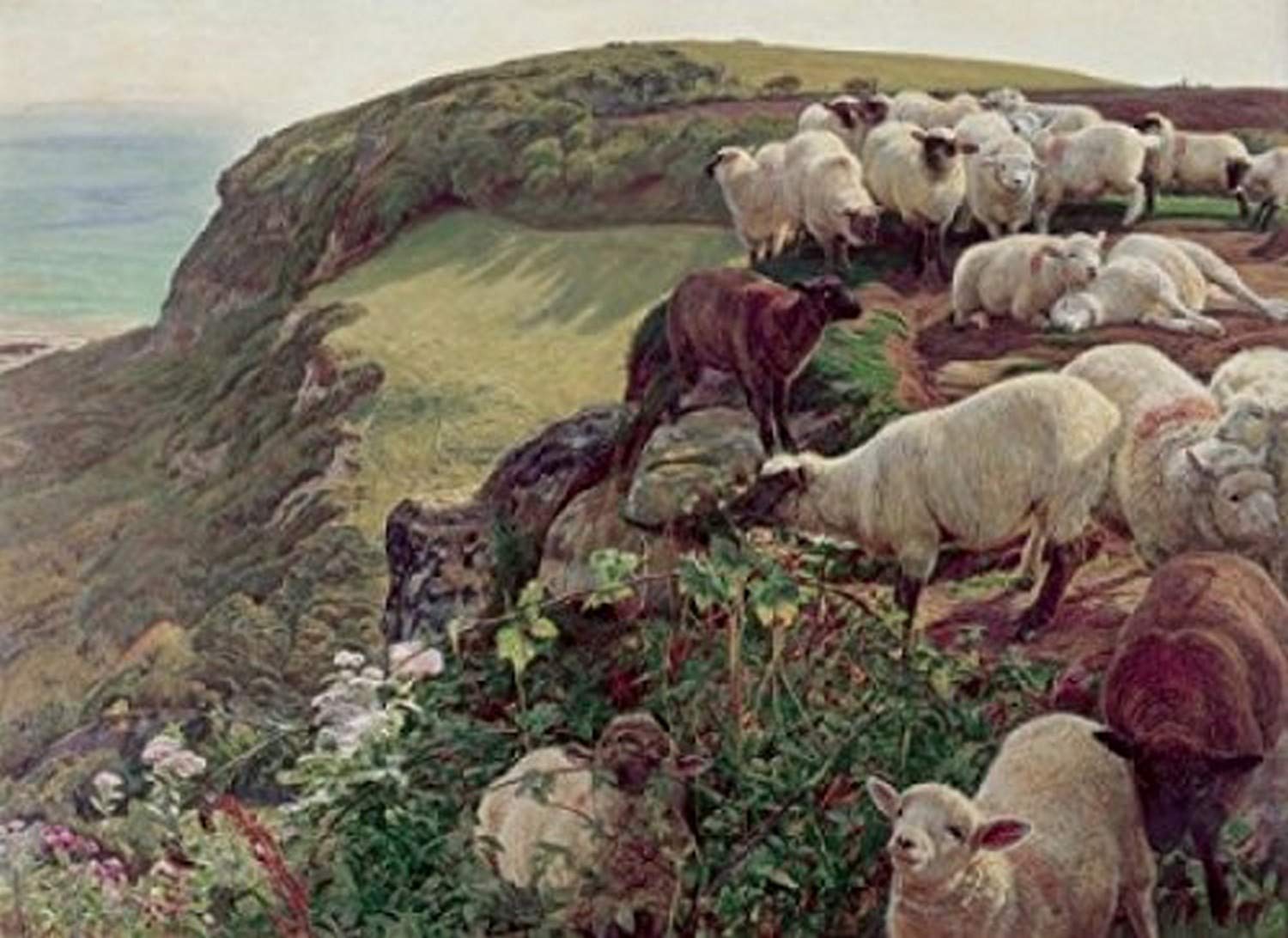 Amazon.com: Our English Coasts (Strayed Sheep) 1852 William Holman